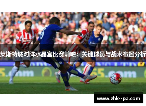 莱斯特城对阵水晶宫比赛前瞻：关键球员与战术布置分析