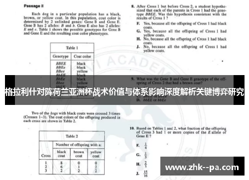 格拉利什对阵荷兰亚洲杯战术价值与体系影响深度解析关键博弈研究 格拉利什对阵荷兰亚洲杯战术价值与体系影响深度解析关键博弈研究